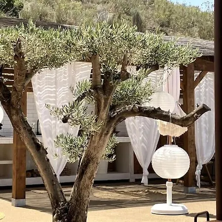 Casa De Verano, In